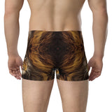 Men's Lion Print Boxer Briefs
