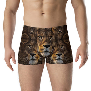 Men's Lion Print Boxer Briefs
