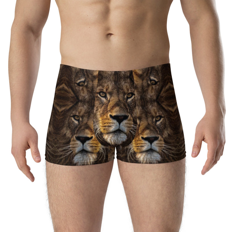Men's Lion Print Boxer Briefs