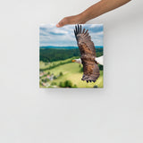 Eagle Print Canvas