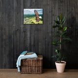 Eagle Print Canvas