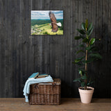 Eagle Print Canvas