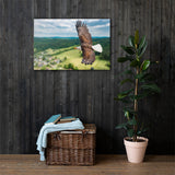 Eagle Print Canvas