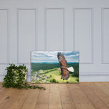 Eagle Print Canvas