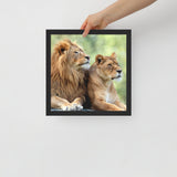 LION Framed Photo Paper Poster