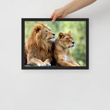 LION Framed Photo Paper Poster