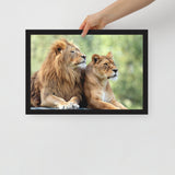 LION Framed Photo Paper Poster