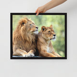 LION Framed Photo Paper Poster