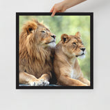 LION Framed Photo Paper Poster