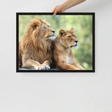 LION Framed Photo Paper Poster