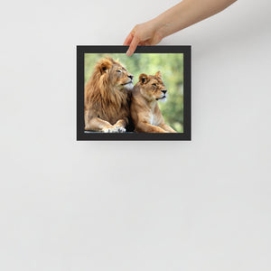 LION Framed Photo Paper Poster