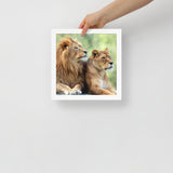 LION Framed Photo Paper Poster