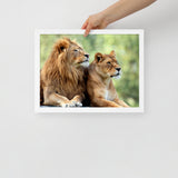 LION Framed Photo Paper Poster