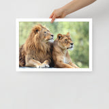 LION Framed Photo Paper Poster