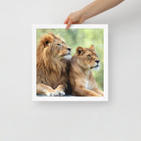 LION Framed Photo Paper Poster