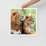 LION Framed Photo Paper Poster