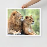 LION Framed Photo Paper Poster