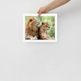 LION Framed Photo Paper Poster